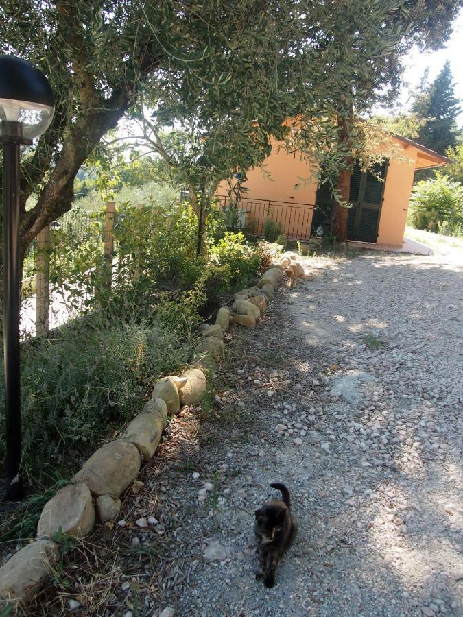 Agriturismo Ardizio 43 Pesaro Exterior photo