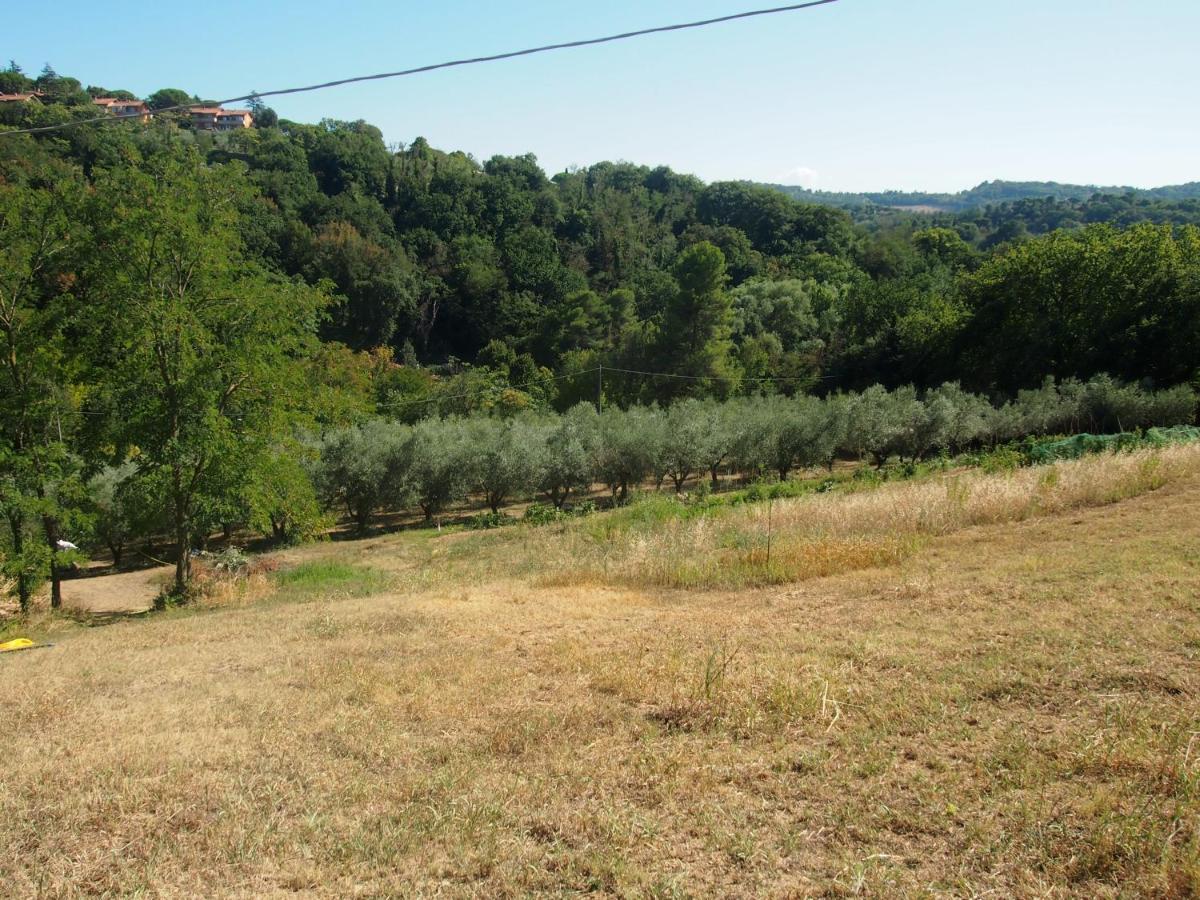 Agriturismo Ardizio 43 Pesaro Exterior photo